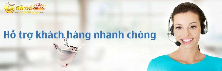 Dịch vụ CSKH