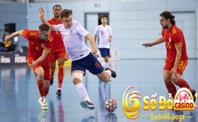 Môn thể thao futsal là gì